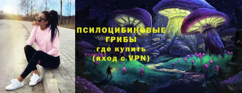 Псилоцибиновые грибы прущие грибы  маркетплейс клад  Полярные Зори  цены  